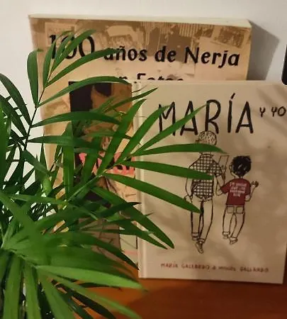Centro Nerja